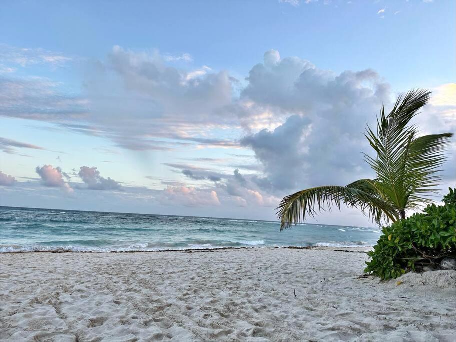 3 Bedroom Luxury Condo Next To Beach & Pools, Ac And Internet Akumal Kültér fotó